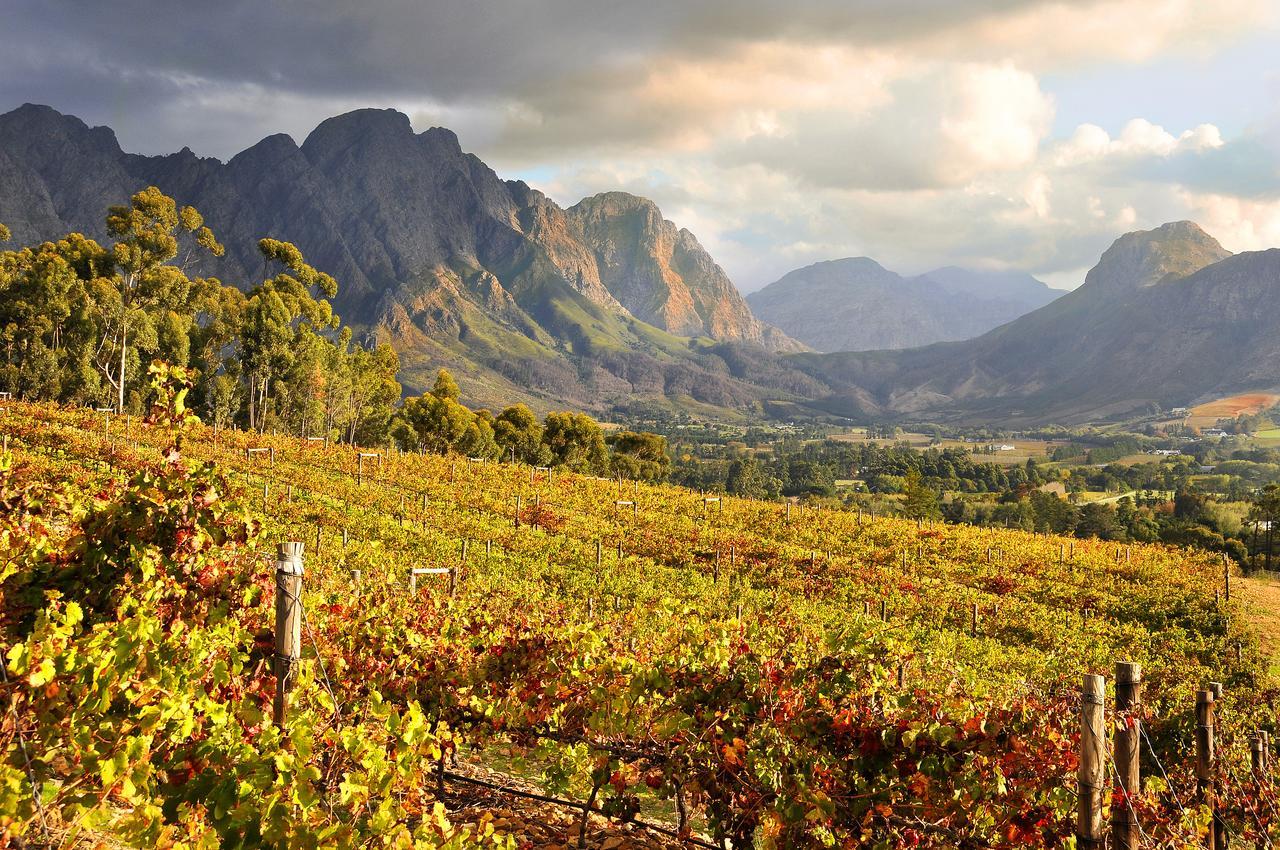 La Petite Ferme Hotel Franschhoek Eksteriør billede